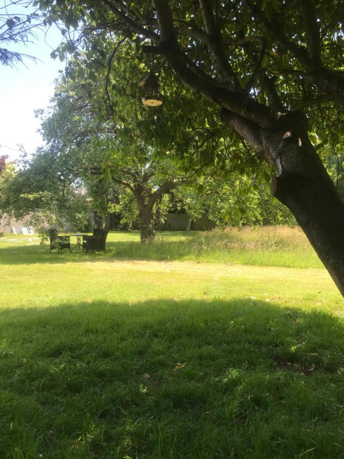 Redbrook Farm Bnb - Gateway To The New Forest Fordingbridge Eksteriør billede