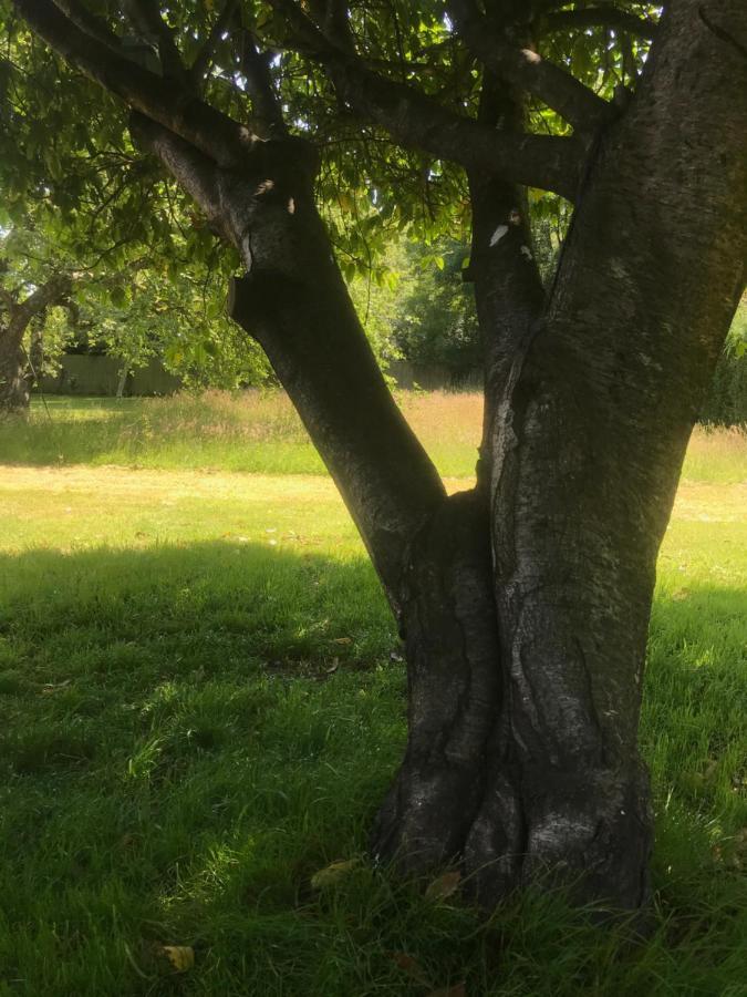 Redbrook Farm Bnb - Gateway To The New Forest Fordingbridge Eksteriør billede