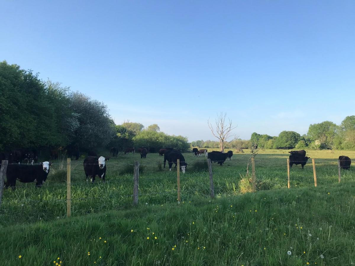 Redbrook Farm Bnb - Gateway To The New Forest Fordingbridge Eksteriør billede