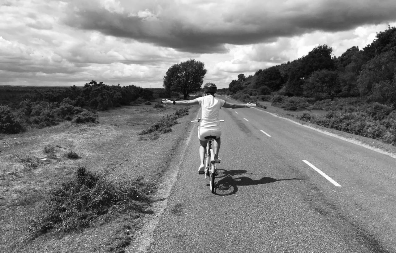 Redbrook Farm Bnb - Gateway To The New Forest Fordingbridge Eksteriør billede