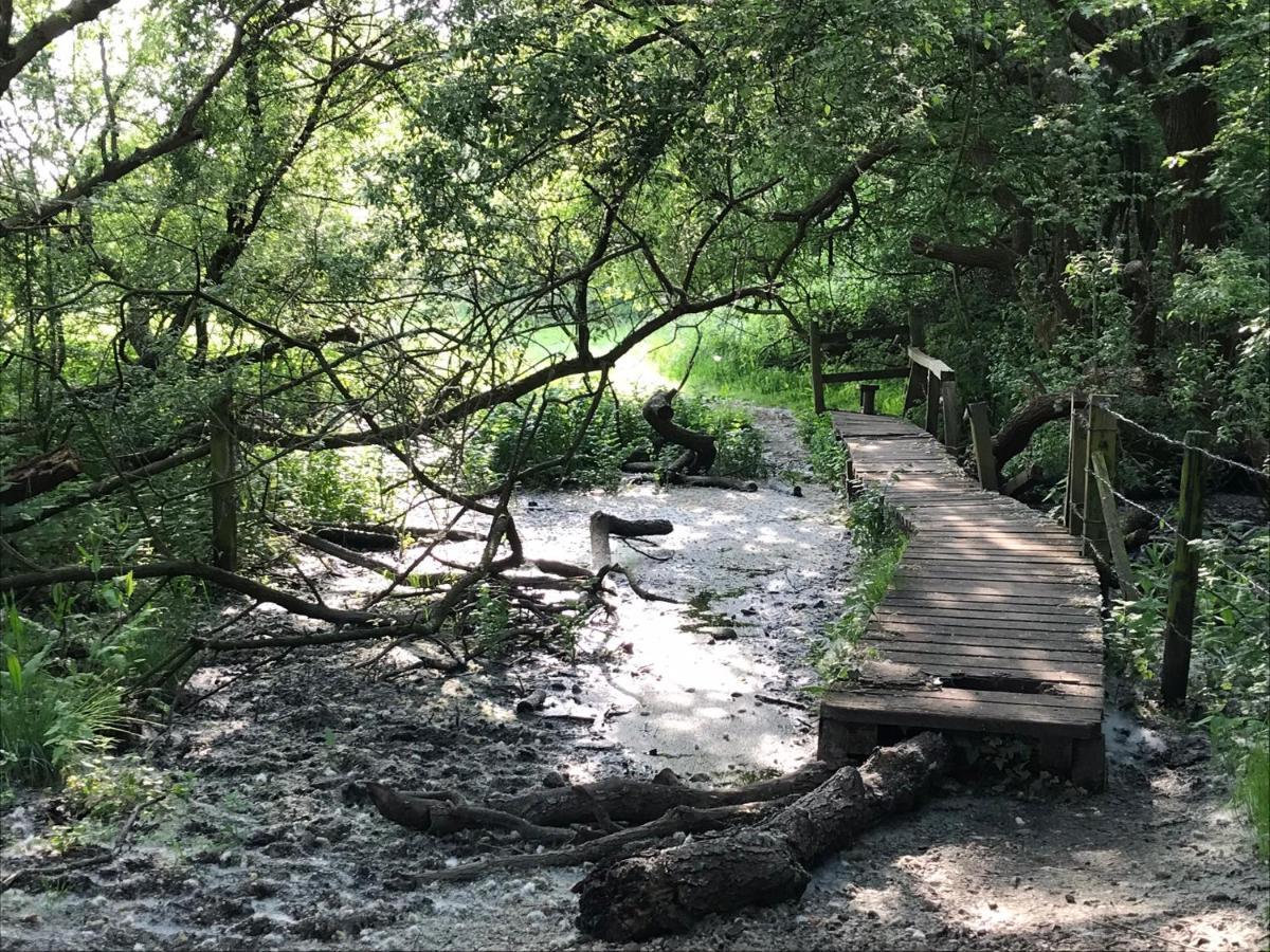 Redbrook Farm Bnb - Gateway To The New Forest Fordingbridge Eksteriør billede