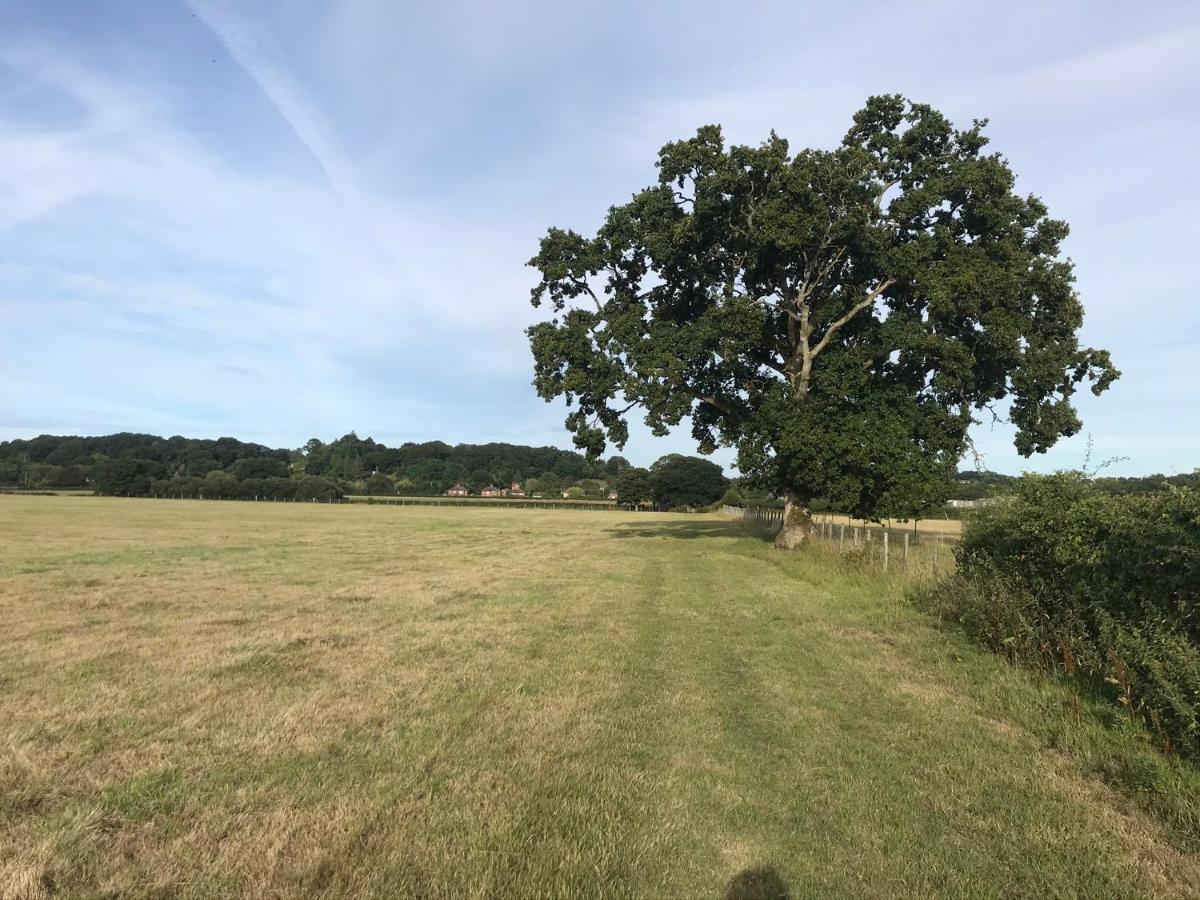 Redbrook Farm Bnb - Gateway To The New Forest Fordingbridge Eksteriør billede