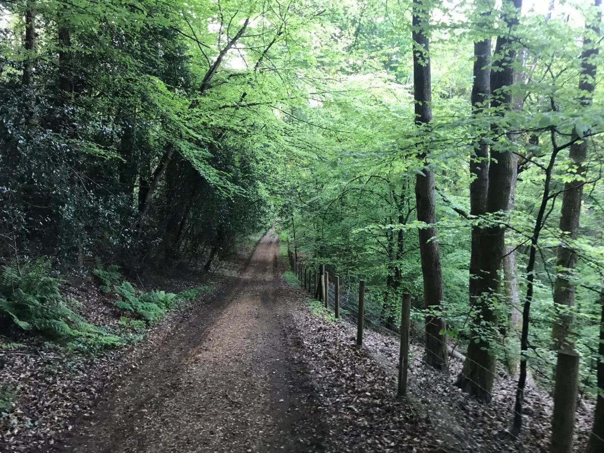 Redbrook Farm Bnb - Gateway To The New Forest Fordingbridge Eksteriør billede