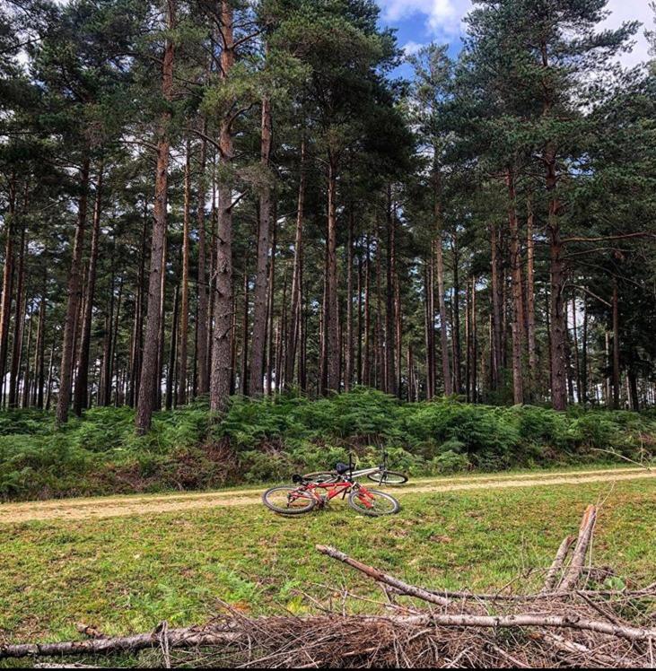 Redbrook Farm Bnb - Gateway To The New Forest Fordingbridge Eksteriør billede